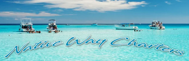 NWC-Header-Stingray-City-Tours