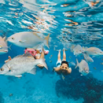 Snorkeling-Stingray-City-Tours