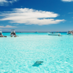 Stingray-City-Tours-Grand Cayman
